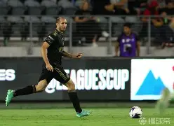加盟洛杉矶FC！33岁亚洲一哥下站会是美国，未来仍有回欧洲机会(欧洲影院加盟品牌推荐)